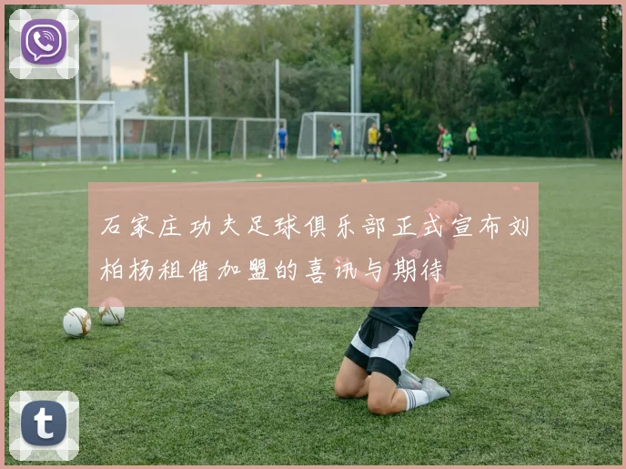 石家庄功夫足球俱乐部正式宣布刘柏杨租借加盟的喜讯与期待