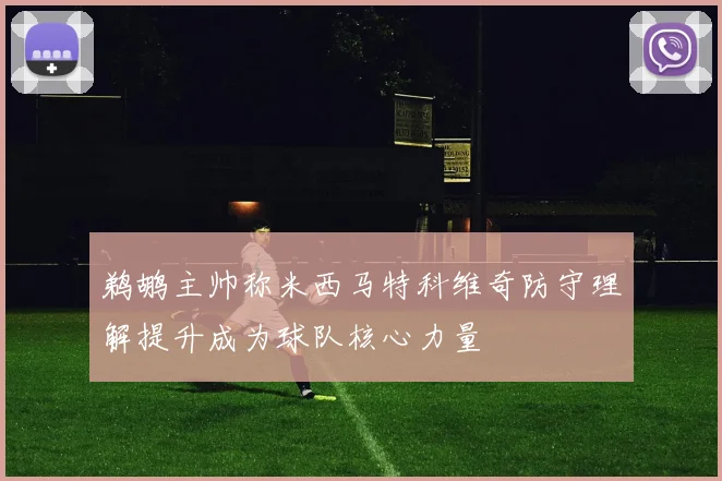 鹈鹕主帅称米西马特科维奇防守理解提升成为球队核心力量