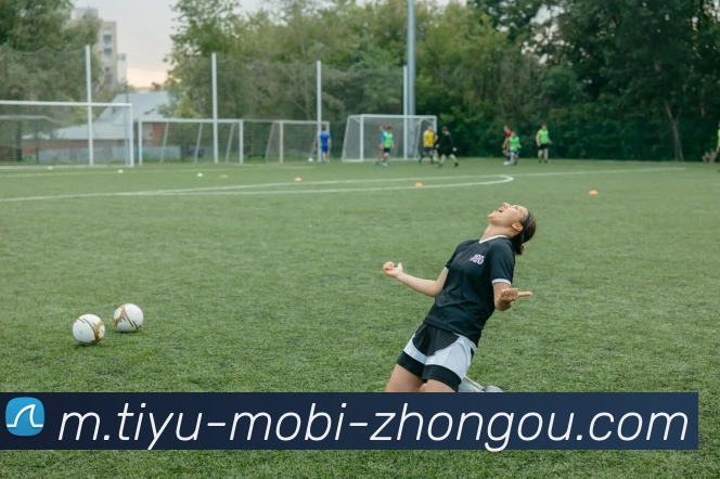 多媒体互动体验