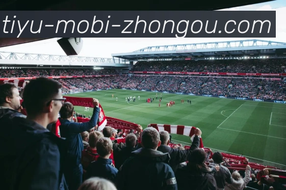 中欧体育APP 体育赛事宣传图